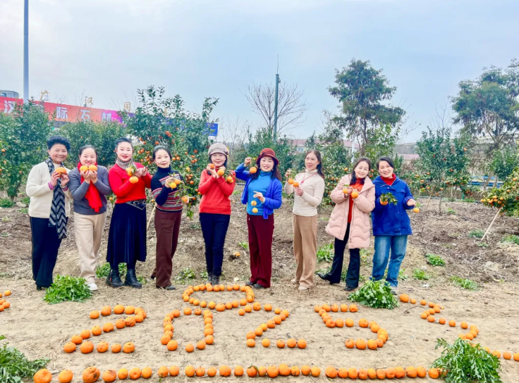 利来w66(中国区)_来利国际旗舰